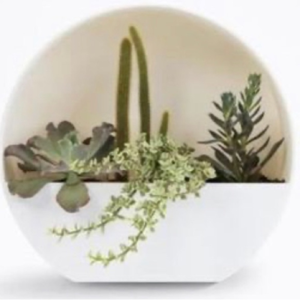 SALE!! Bloem Bodye Planter full moon indoor or outdoor.  3